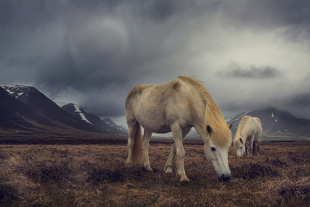 Florian Ritter ICELAND