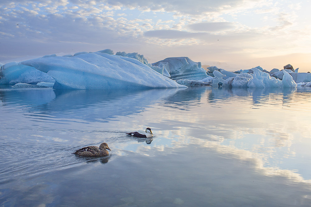Florian Ritter ICELAND
