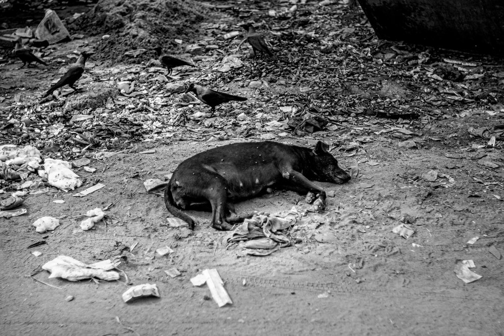 DUST WEAPING. KOLKATA