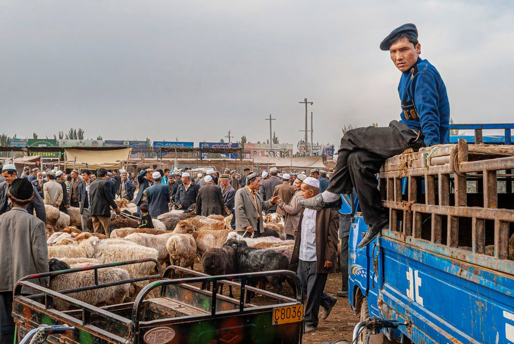 PATIENT DAY. LIVESTOCK MARKET, KASHGAR