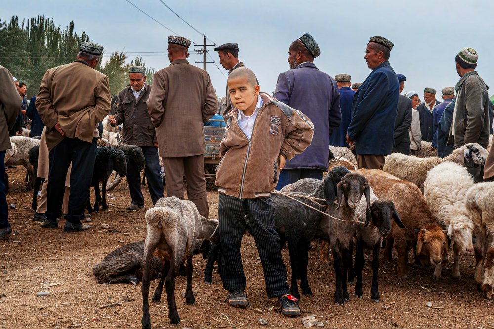 FIRST FIVE. LIVESTOCK MARKET, KASHGAR